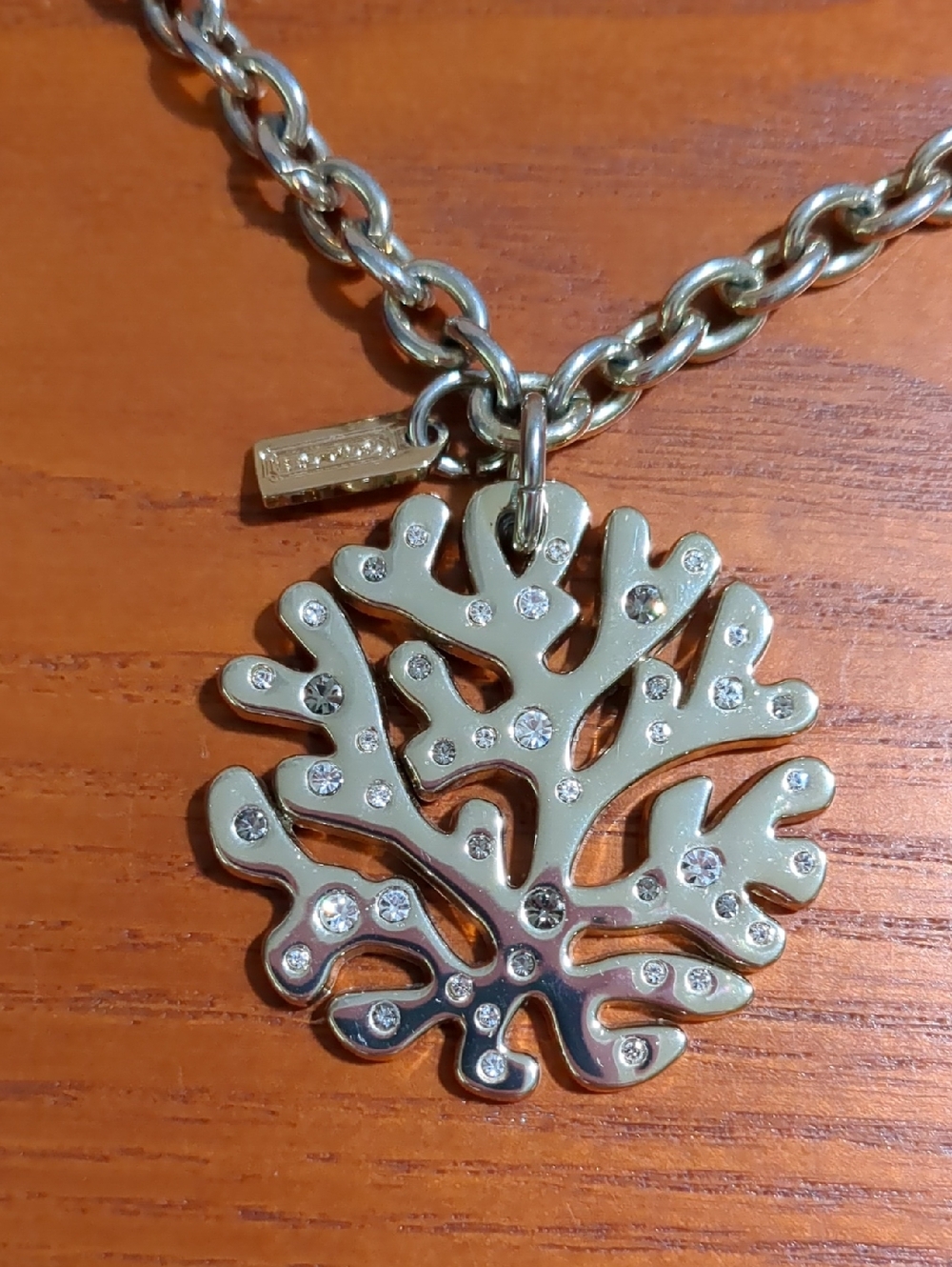 Coach Coral Branch Necklace